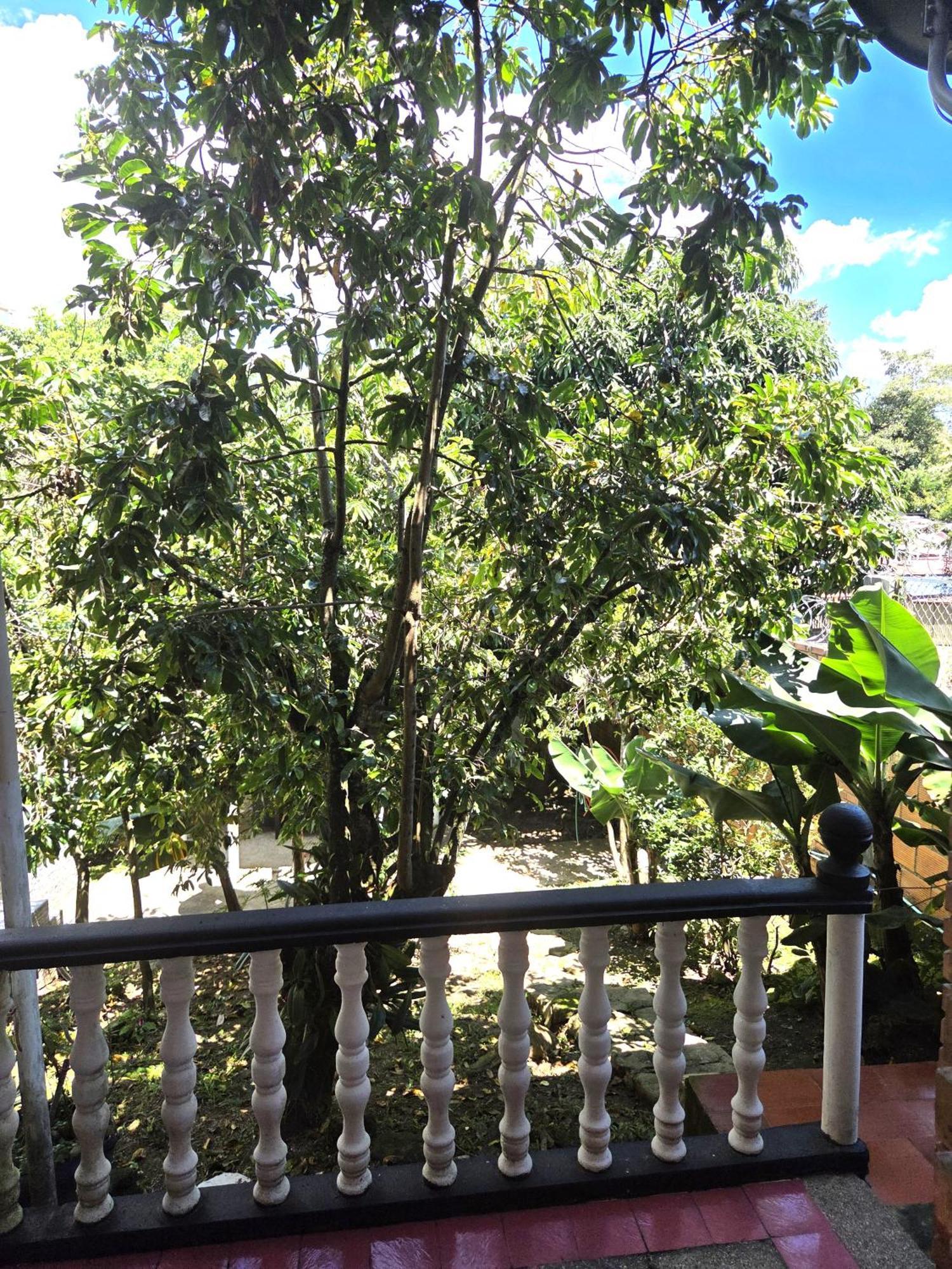 Claudia - Comodo Y Tranquilo Appartement